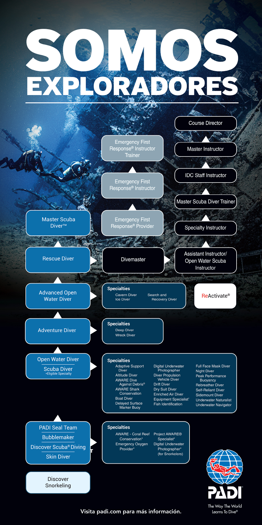 images/MK18_FlowChart_web_SP.png